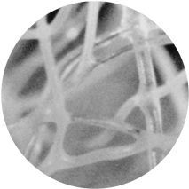 Foto microscópica de un lecho iónico nuevo